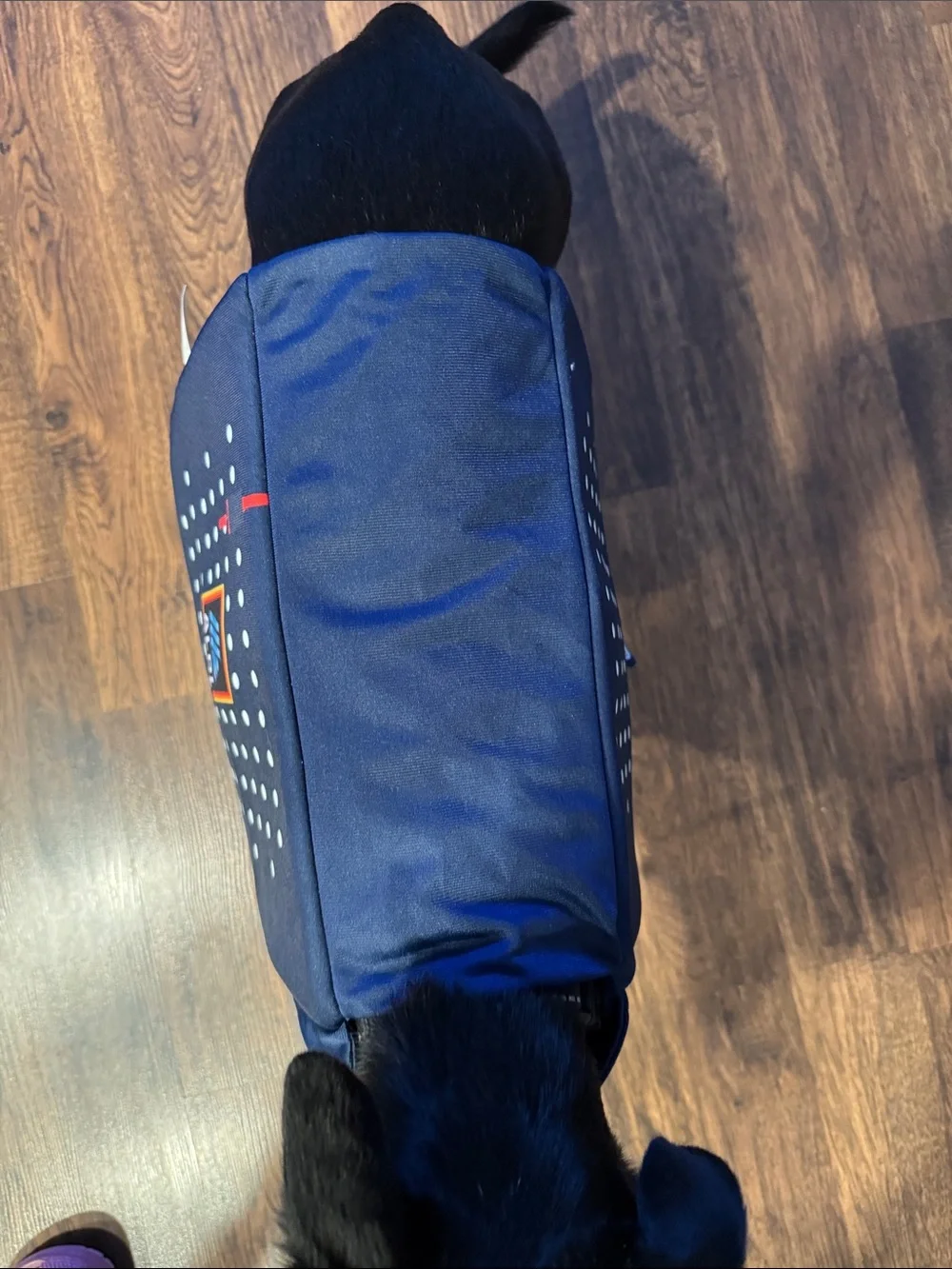 Heart To Tail navy blue
